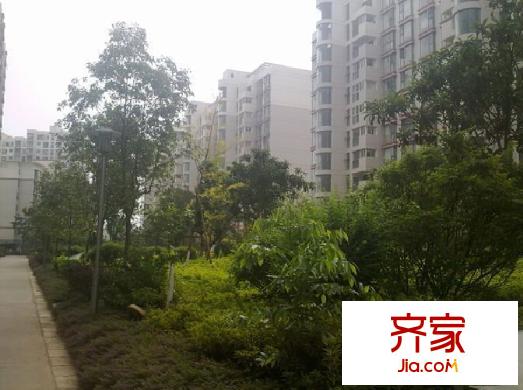 楓林盛景外景圖 