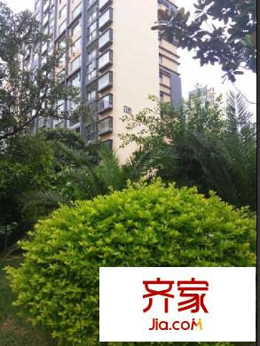 新亞洲體育城星澤園外景圖 