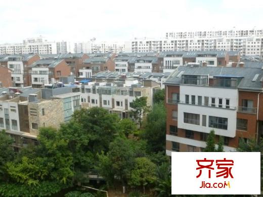 彼岸外景圖 