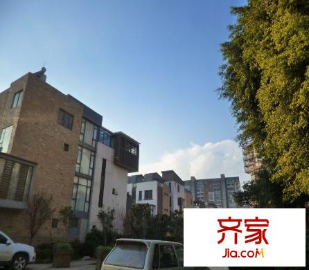 彼岸外景圖 