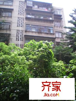 新迎小區(qū)外景圖 