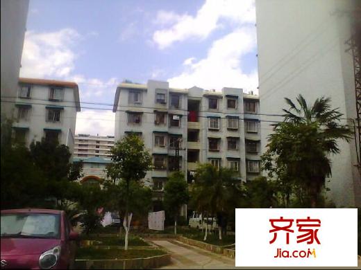 金星小區(qū)外景圖  