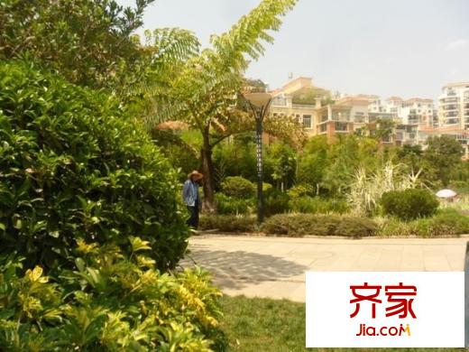 玫瑰灣別墅外景圖 