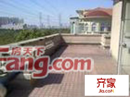 花圃高級公寓外景圖