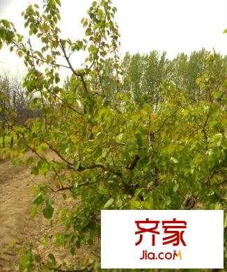 國泰小區(qū)外景圖