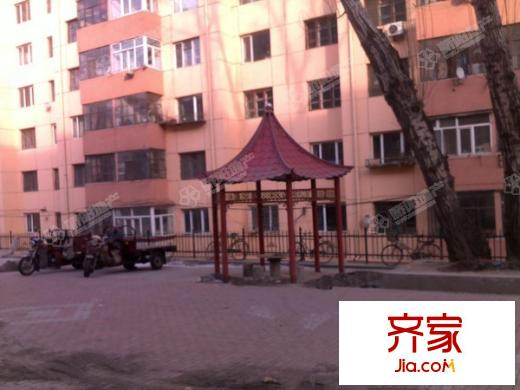 拖配家屬樓外景圖哈爾濱  