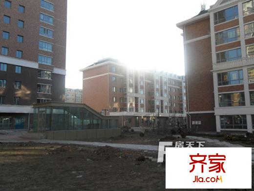 黑大芳洲園外景圖哈爾濱  