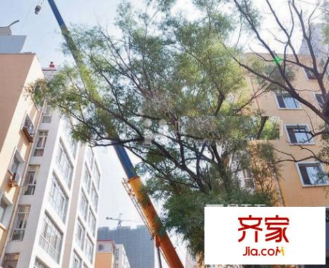 建偉