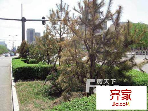 龍坤花園外景圖