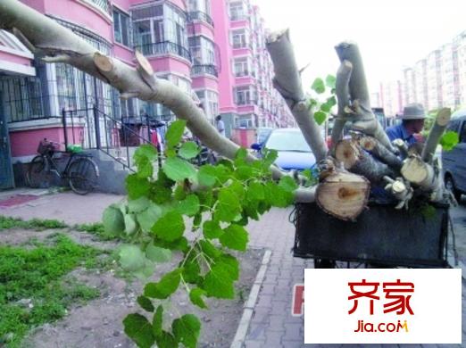 木介街小區(qū)外景圖木介小區(qū)