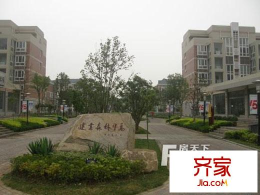 建業(yè)小區(qū)外景圖 