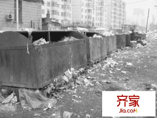 北樹