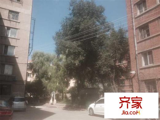丁香家園外景圖 