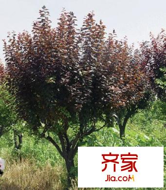 木介街小區(qū)外景圖木介小區(qū)