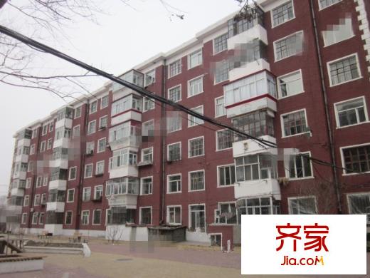 碧園小區(qū)外景圖2