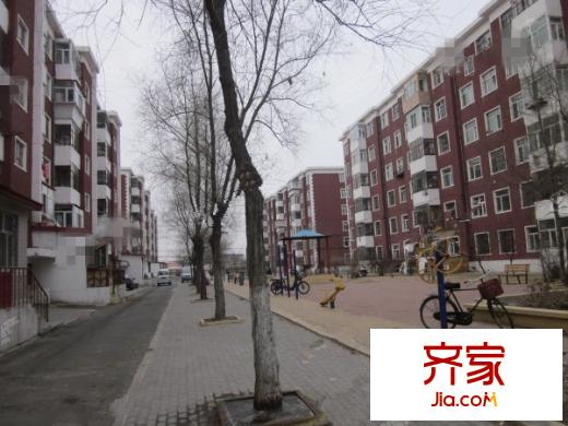 碧園小區(qū)外景圖4