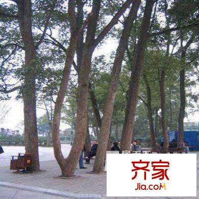 金桂園海棠閣外景圖