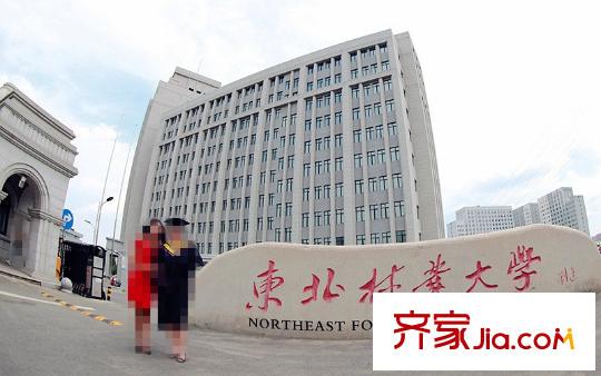 和興路文昌街小區(qū)配套圖林大