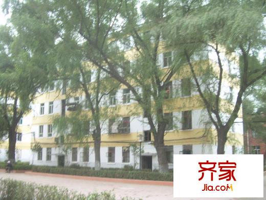 哈一機(jī)家屬樓外景圖1