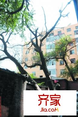 營部街42號小區(qū)外景圖哈爾濱 營部街 