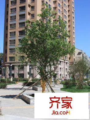 睿城臻品外景圖
