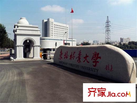 春江家園二期配套圖東北林業(yè)大學(xué)校門