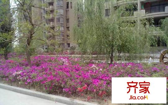 橫道住宅小區(qū)外景圖-