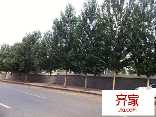 平湖小區(qū)外景圖 