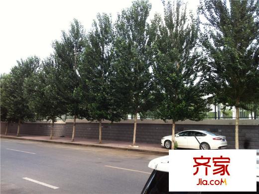 平湖小區(qū)外景圖 