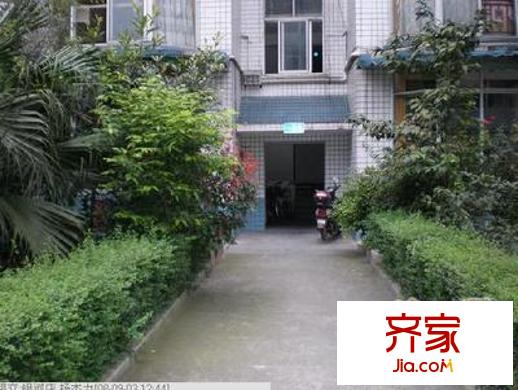 金房小區(qū)外景圖 
