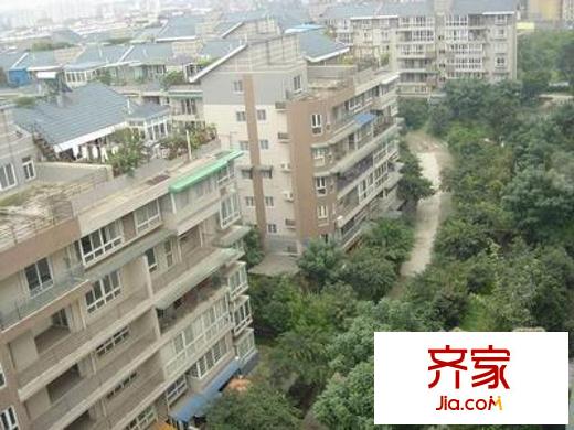 金房小區(qū)外景圖 