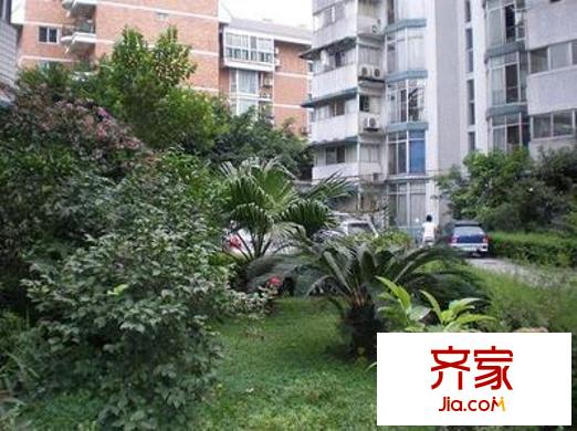 金房小區(qū)外景圖 