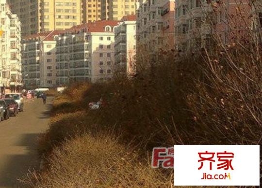 哈量新區(qū)外景圖3