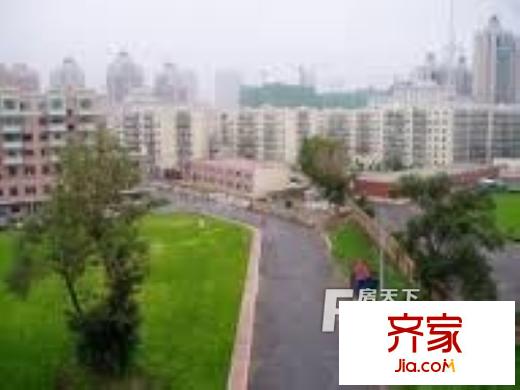 綠圓