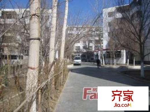 三棵小區(qū)外景圖哈爾濱  