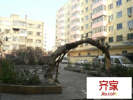 三棵小區(qū)外景圖哈爾濱  
