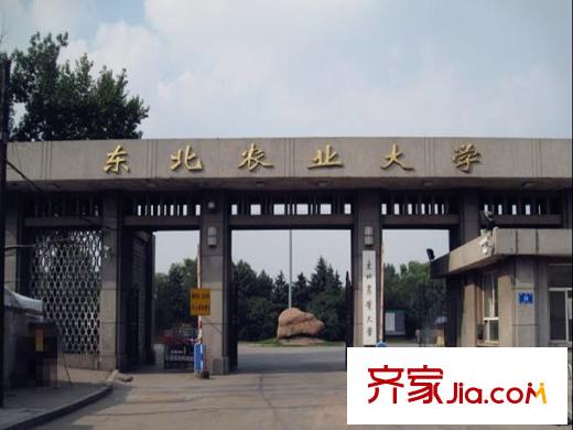 民生小區(qū)配套圖東北農(nóng)業(yè)大學(xué)