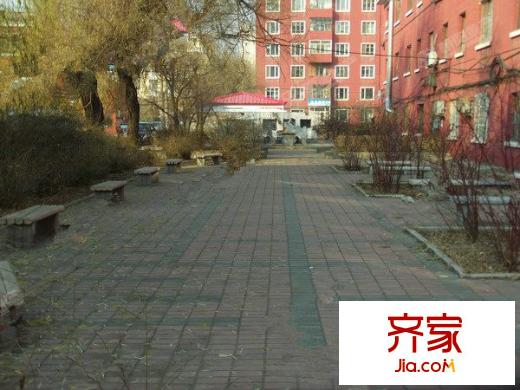 石化小區(qū)外景圖3