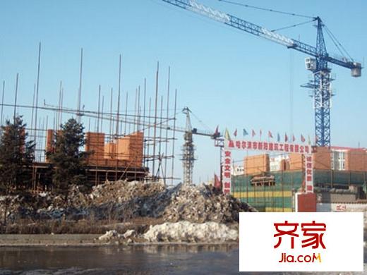 泰和軒實(shí)景圖施工現(xiàn)場(chǎng)實(shí)景（2010年3月份）