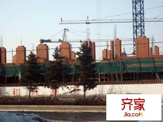 泰和軒實(shí)景圖施工現(xiàn)場(chǎng)實(shí)景（2010年3月份）