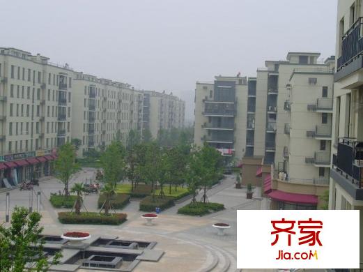 文化家園