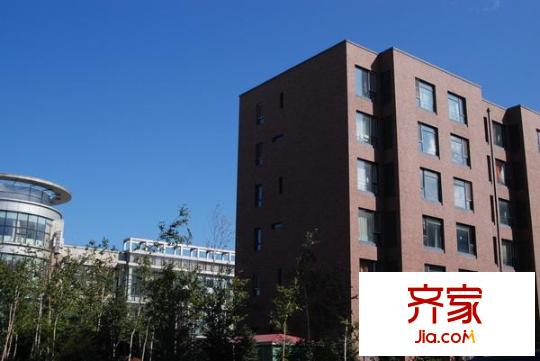 柏林印象外景圖