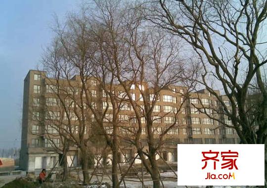 柏林印象外景圖
