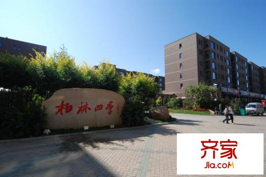 柏林印象外景圖