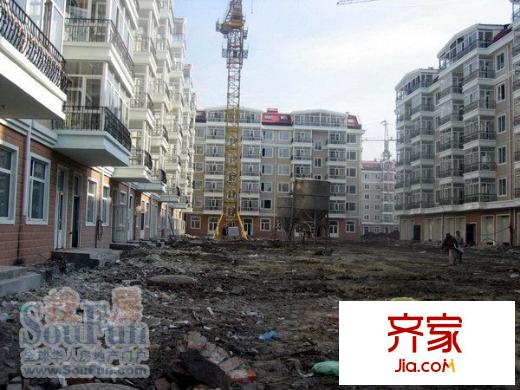 南棵綠蔭