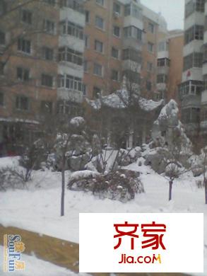 遼河小區(qū)外景圖 