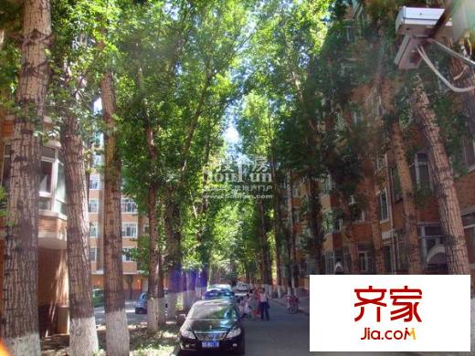 中北春城外景圖一期