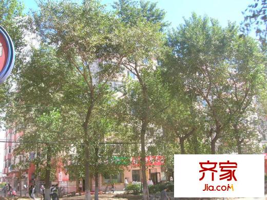 松電小區(qū)外景圖