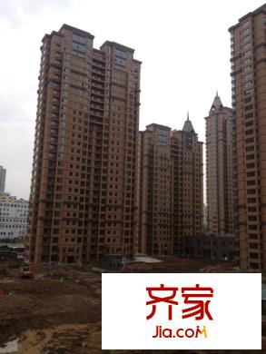 南極國際