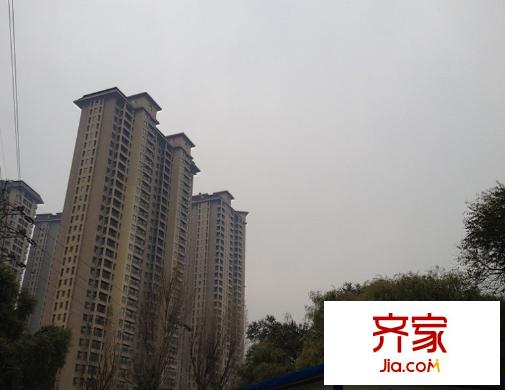 鳳凰灣實(shí)景圖3號(hào)樓（2012.11.2）